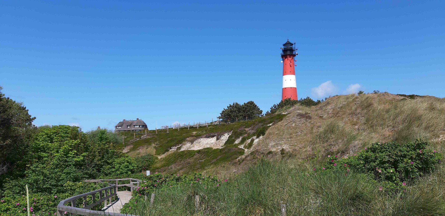 Roter Leuchtturm auf einer Düne an der Nordsee bei blauem Himmel.